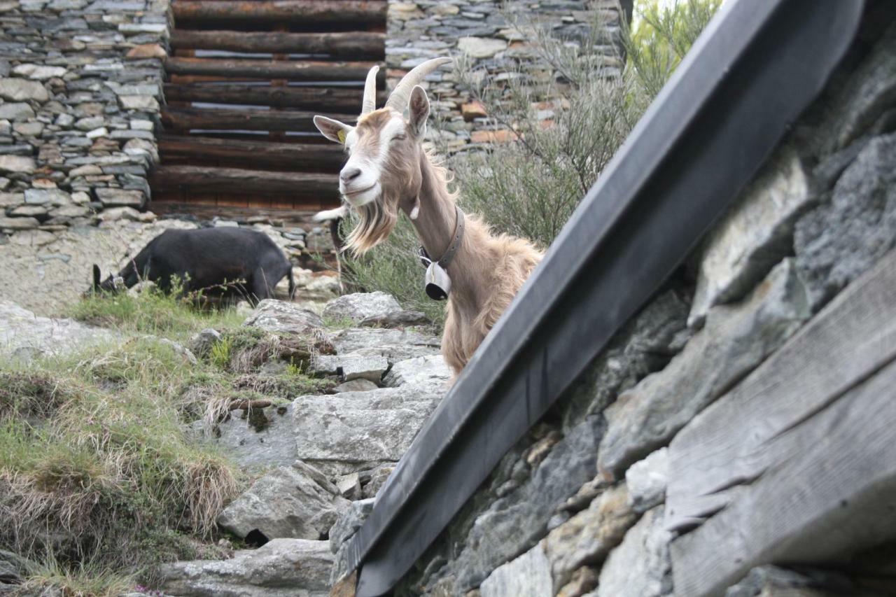 فيلا Agri Scinghioera Brontallo المظهر الخارجي الصورة