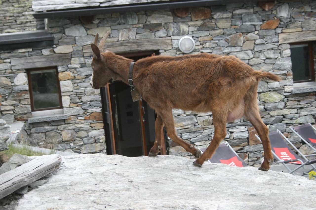 فيلا Agri Scinghioera Brontallo المظهر الخارجي الصورة